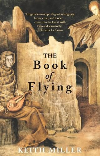 Cover image for The Book of Flying