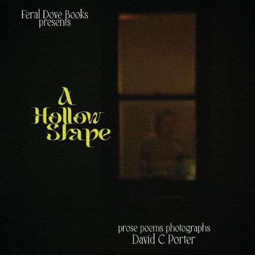 Cover image for A Hollow Shape