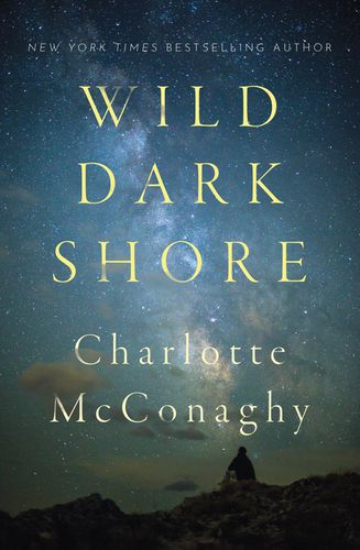 Cover image for Wild Dark Shore