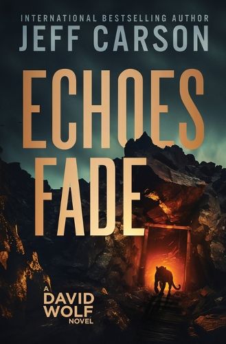 Cover image for Echoes Fade