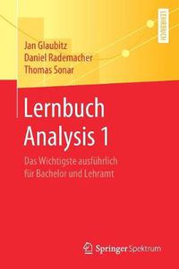 Cover image for Lernbuch Analysis 1: Das Wichtigste ausfuhrlich fur Bachelor und Lehramt