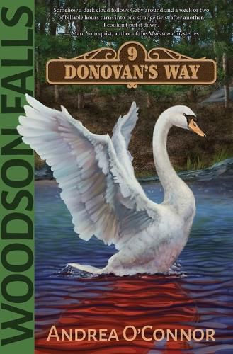 Cover image for Woodson Falls: 9 Donovan's Way