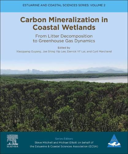 Carbon Mineralization in Coastal Wetlands: From Litter Decomposition to Greenhouse Gas Dynamics
