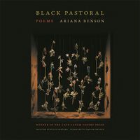 Cover image for Black Pastoral