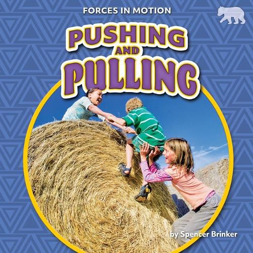 Cover image for Pushing and Pulling