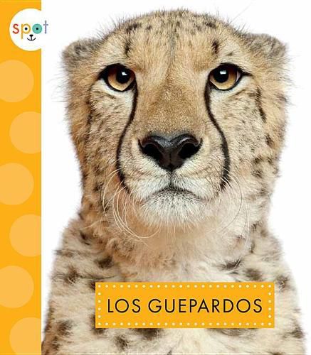 Cover image for Los Guepardos