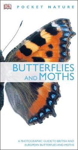 Cover image for Butterflies and Moths: A Photographic Guide to British and European Butterflies and Moths