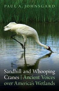 Cover image for Sandhill and Whooping Cranes: Ancient Voices over America's Wetlands