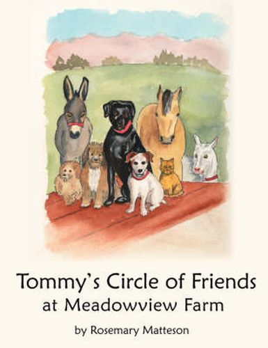 Cover image for Tommy's Circle of Friends: at Meadowview Farm