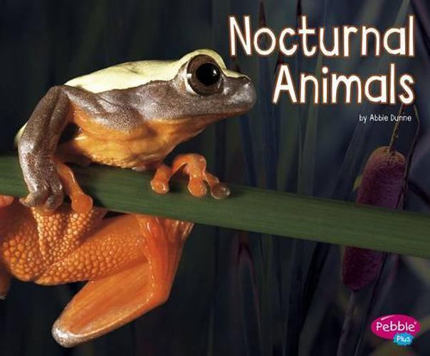 Cover image for Nocturnal Animals (Life Science)