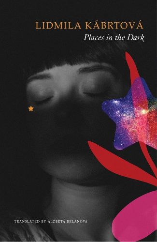 Cover image for Places in the Dark