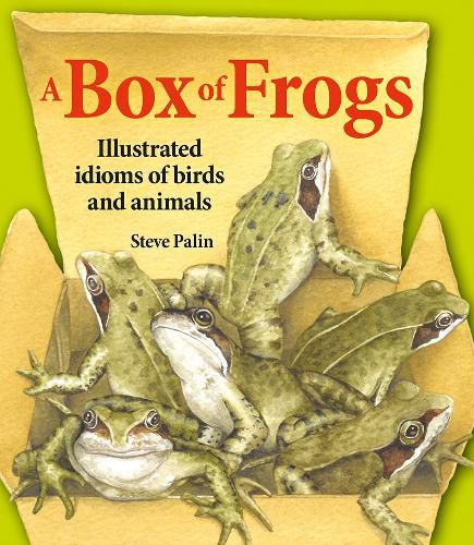 Cover image for A Box of Frogs: Illustrated idioms of birds and animals