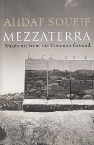 Cover image for Mezzaterra: Fragments from the Common Ground