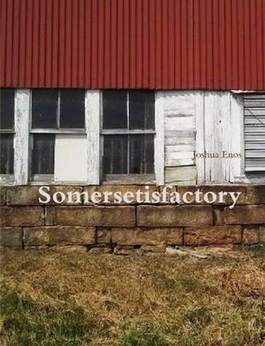 Cover image for Somersetisfactory