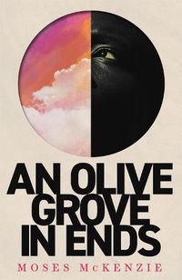 Cover image for An Olive Grove in Ends: The dazzling debut novel about love, faith and community, by an electrifying new voice