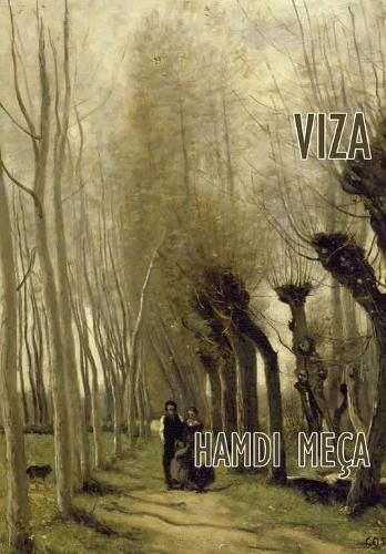 Cover image for Viza