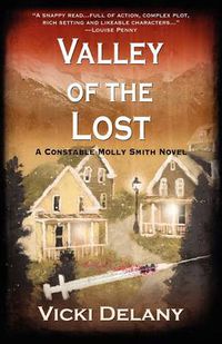 Cover image for Valley of the Lost