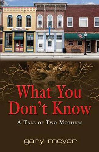 Cover image for What You Don't Know