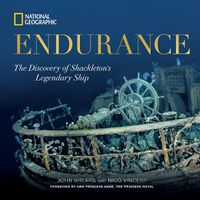 Cover image for Endurance