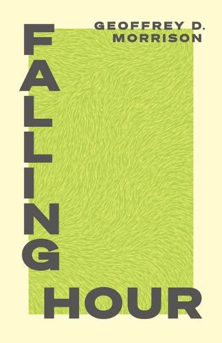 Cover image for Falling Hour