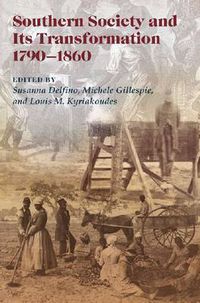 Cover image for Southern Society and Its Transformations