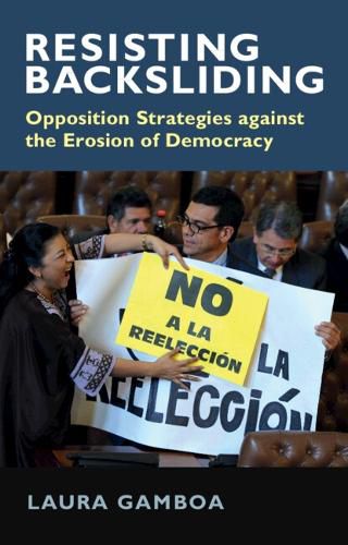 Cover image for Resisting Backsliding: Opposition Strategies against the Erosion of Democracy