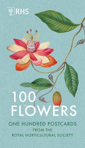 Cover image for 100 Flowers