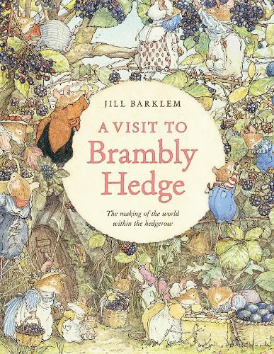 Cover image for A Visit to Brambly Hedge