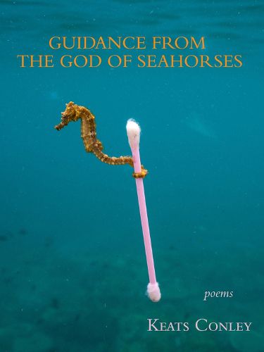 Cover image for Guidance from the God of Seahorses