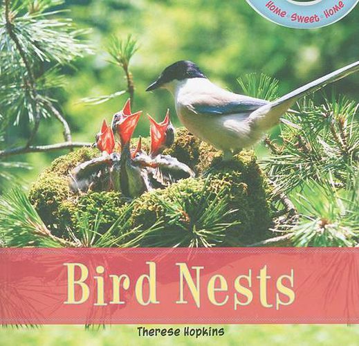 Cover image for Bird Nests