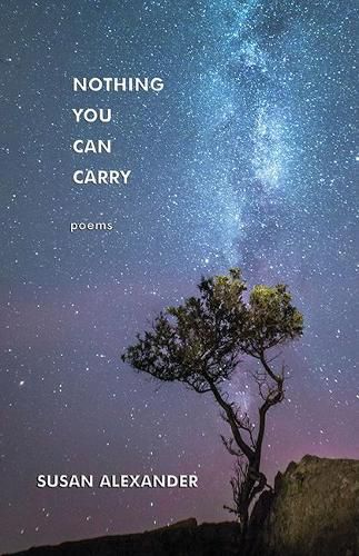 Cover image for Nothing You Can Carry