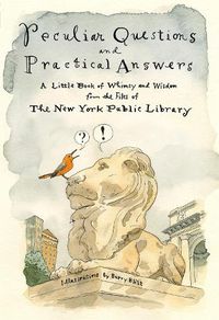 Cover image for Peculiar Questions and Practical Answers