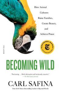 Cover image for Becoming Wild: How Animal Cultures Raise Families, Create Beauty, and Achieve Peace