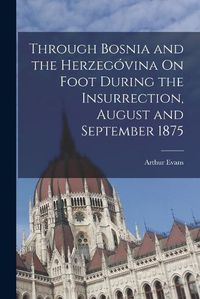 Cover image for Through Bosnia and the Herzegovina On Foot During the Insurrection, August and September 1875