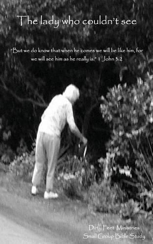 Cover image for The lady who couldn't see