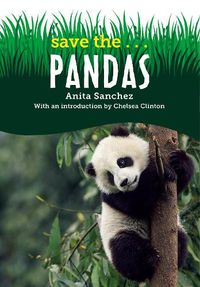Cover image for Save the...Pandas