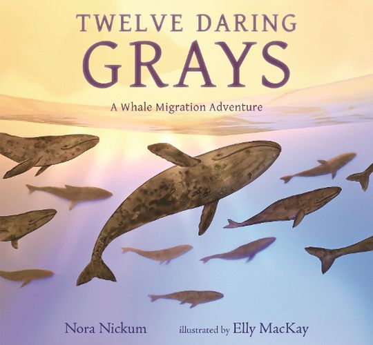 Cover image for Twelve Daring Grays: A Whale Migration Adventure