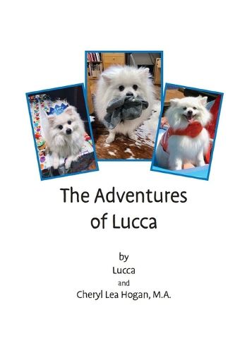 Cover image for The Adventures of Lucca