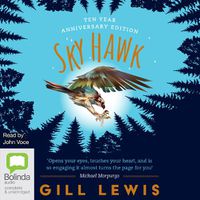 Cover image for Sky Hawk