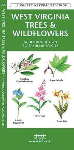 West Virginia Trees & Wildflowers: A Folding Pocket Guide to Familiar Species
