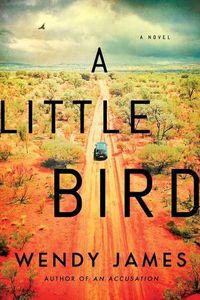 Cover image for A Little Bird: A Novel