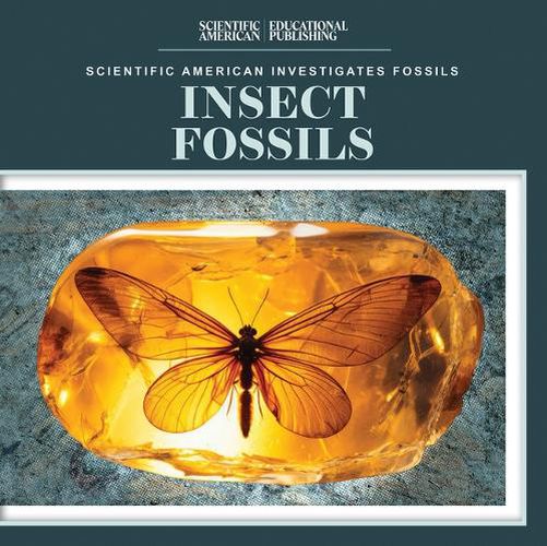 Cover image for Insect Fossils