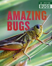 Cover image for Amazing Bugs