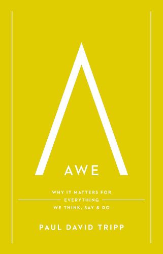 Cover image for Awe: Why It Matters for Everything We Think, Say, and Do