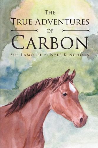 Cover image for The True Adventures Of Carbon