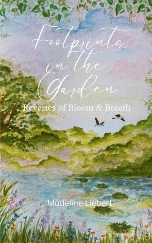 Cover image for Footprints in the Garden (Edition1st)