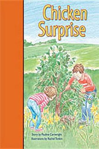 Cover image for Rigby PM Stars Bridge Books: Leveled Reader Bookroom Package Orange Chicken Surprise