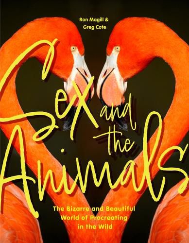 Cover image for Sex and the Animals