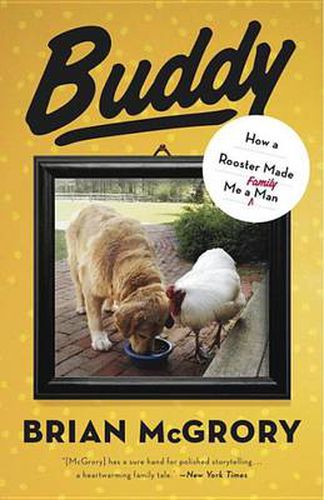 Cover image for Buddy: How a Rooster Made Me a Family Man