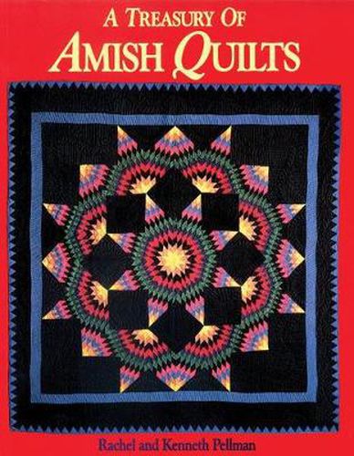 Cover image for Treasury of Amish Quilts